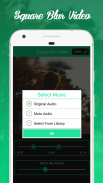 Blur Video, Blur Square Video, screenshot 4