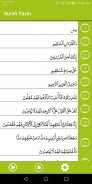 Surah Yasin MP3 & Translation - Surah Yaseen screenshot 2