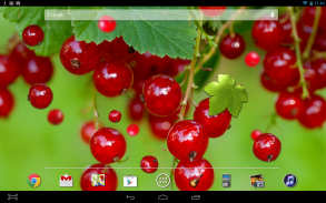 Berry Live Wallpaper screenshot 2