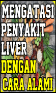 Mengatasi Penyakit Liver Dengan Cara Alami screenshot 0