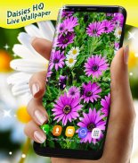 3D Daisy Spring Live Wallpaper screenshot 3