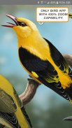 iBird UK Lite Free Bird Guide screenshot 1