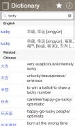 Chinese English Dictionary Pro screenshot 11