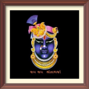 Shrinathji ni jhankhi  श्रीनाथजी  नई  झंखि screenshot 0