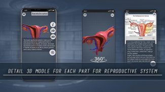 Female Reproductive System 3D screenshot 2