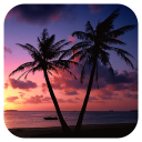 Beach Sunset Live Wallpaper