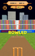 Bowled 3D - Cricket Game screenshot 13