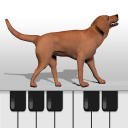 Dog Piano Keyboard Icon