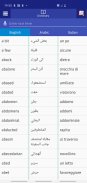 Arabic Italian Dictionary screenshot 0