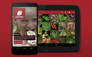 Wildberries APK for Android - Download