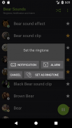 Appp.io - Bear Sounds screenshot 3