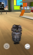 Kucing Berbicara screenshot 4