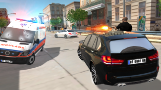 Crime Traffic screenshot 3