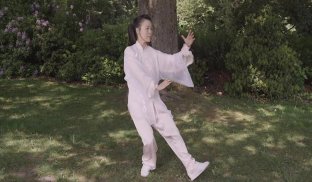 Tai Chi for Beginners 48 Form screenshot 9