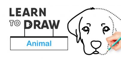 How To Draw Animal