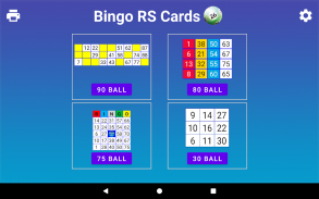 Bingo RS Cards screenshot 19