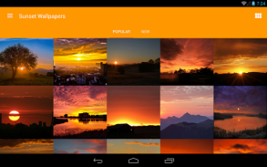 Sunset Wallpapers from Flickr screenshot 0