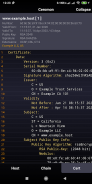 Ceromon SSL/TLS screenshot 2