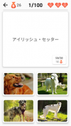 犬の品種 - 犬に関するクイズ！ screenshot 0