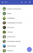 Plant diseases screenshot 3