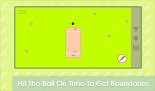 Cricket Minimalist Game screenshot 3