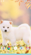 Cute Puppies Live Wallpaper screenshot 7