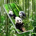 Panda Parallax Wallpapers Icon