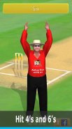 Smashing Cricket - a cricket game like none other screenshot 4