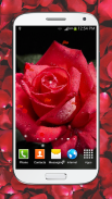 Red Roses Live Wallpaper HD screenshot 4