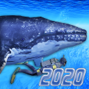 Diving Simulator 2020 Icon