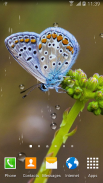 Macro Spring Live Wallpaper screenshot 6