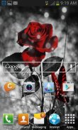 Red Black Butterfly LWP screenshot 1