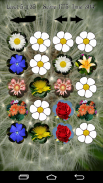 Flowers Memory Game 2015 screenshot 0