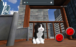 Neko Simulator NekoZ screenshot 11