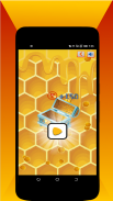 Trap The Bee: Fill Beehive screenshot 1