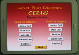 Label that Diagram - Cells screenshot 10