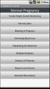A Midwife's Guide screenshot 2