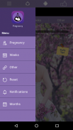 Pregnancy Tracker screenshot 3