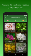 myRemedy: Medicinal plants screenshot 1