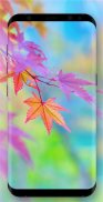 Autumn Wallpaper screenshot 14