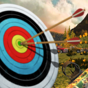 Archery Go : Shooting Games