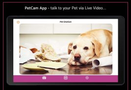 PetCam App - Dog Camera App screenshot 2