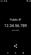 Public IP screenshot 2