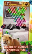 Puppy Dog Pop - Bubble Shoot screenshot 5