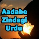 Aadabe Zindagi Urdu Icon