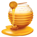 Benefits of Honey Icon