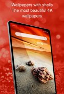 Wallpapers with shells screenshot 5