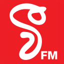 V FM Icon