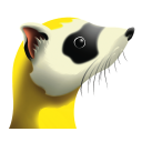 Ferret WiFi