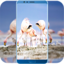 Flamingo Wallpaper HD Icon